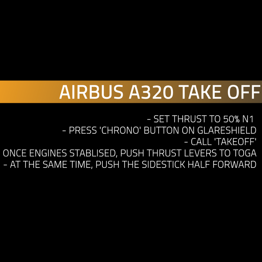 Airbus A320 Cadet Training Program